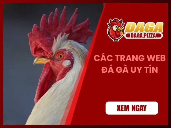 Các trang web đá gà uy tín