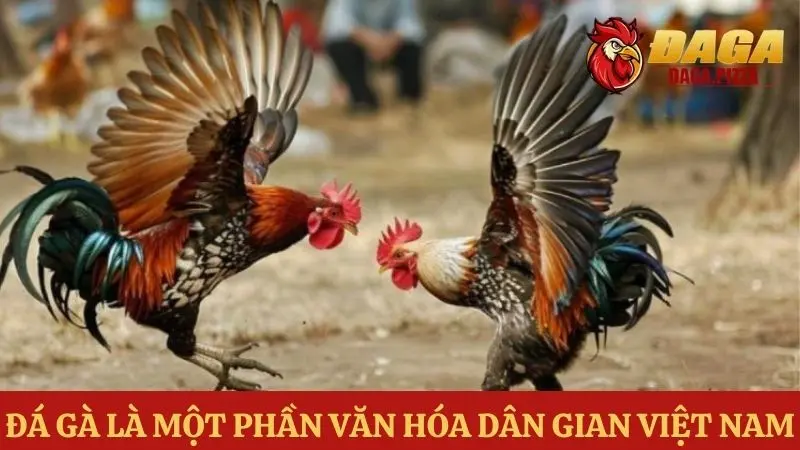Tìm hiểu về đá gà – môn thể thao truyền thống của người Việt Đá gà – môn thể thao truyền thống của người Việt