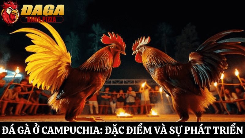 Đá gà ở Campuchia: Đặc điểm và sự phát triển mạnh mẽ Đá gà ở Campuchia: Đặc điểm và sự phát triển mạnh mẽ