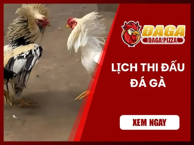 Lịch thi đấu đá gà